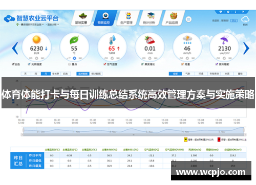 体育体能打卡与每日训练总结系统高效管理方案与实施策略
