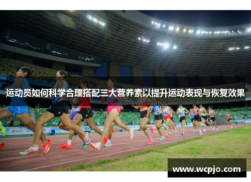 运动员如何科学合理搭配三大营养素以提升运动表现与恢复效果